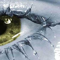 Oeil